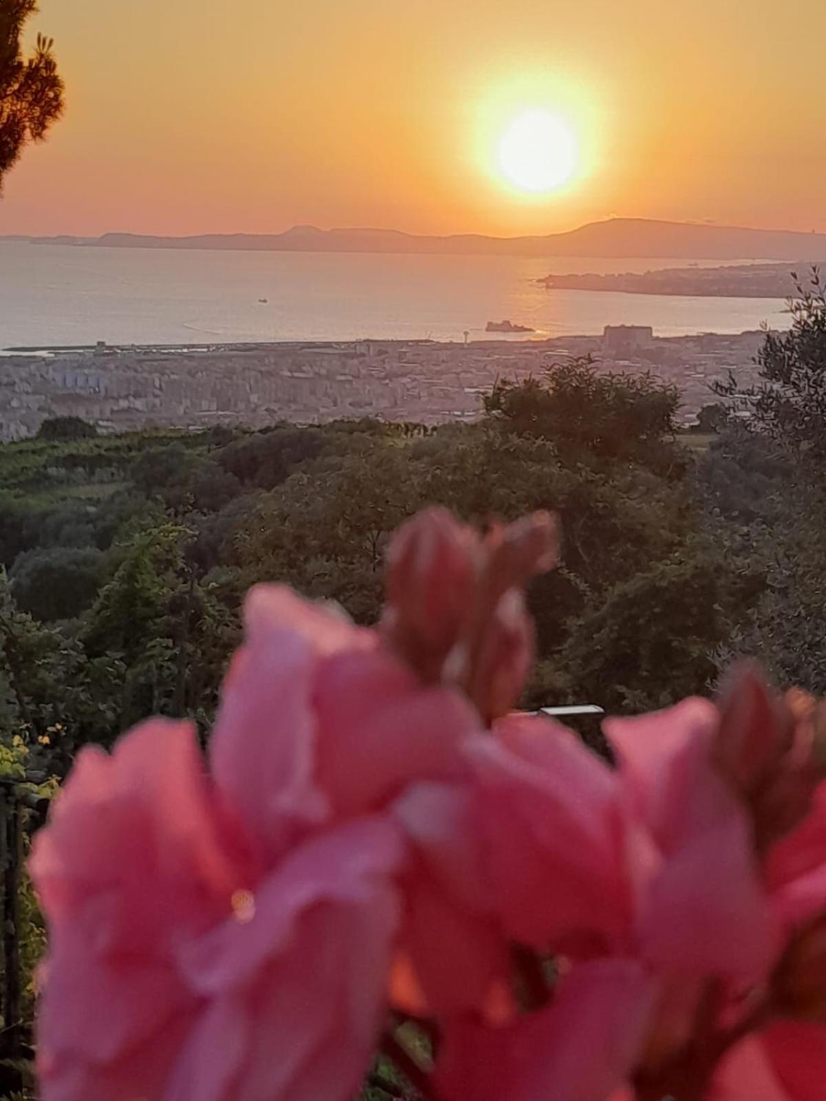 La Vigna Del Vento Acomodação com café da manhã Casola di Napoli Exterior foto