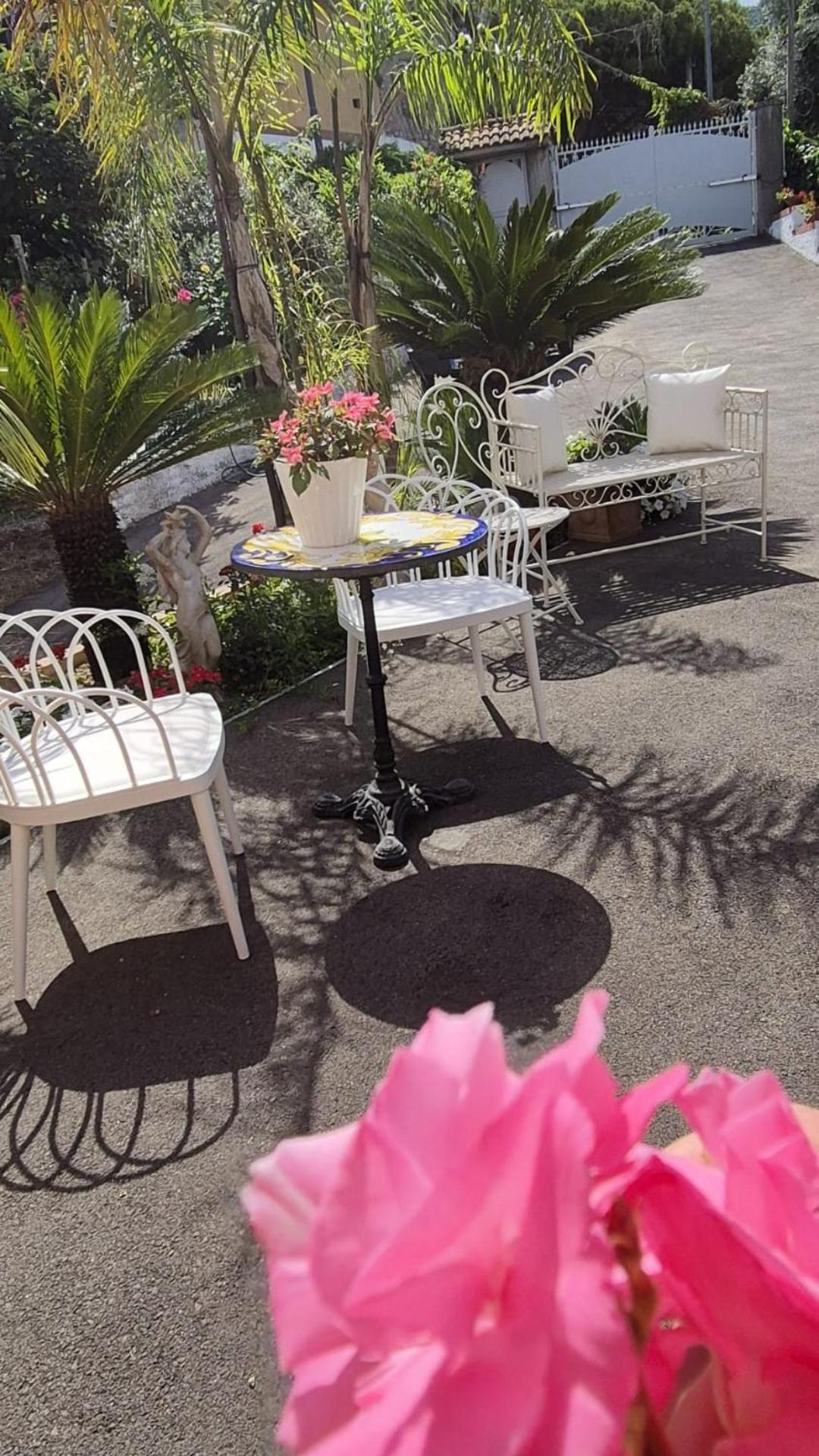 La Vigna Del Vento Acomodação com café da manhã Casola di Napoli Exterior foto